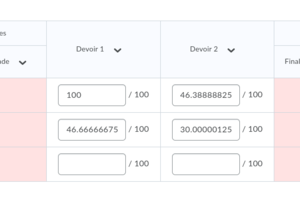 Screenshot of the section Grades on BrightSpace