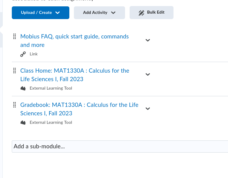 Screenshot of the module on BrightSpace with the new item