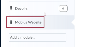 Screenshot of the table of contents in BrightSpace